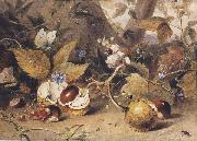 Elizabeth Byrne Still-life with horse chestnuts and insects (mk47) France oil painting artist